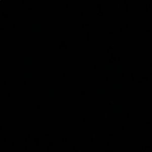 Meet your Posher, Lexi